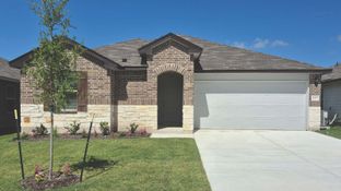 Ashburn - The Villages at Schwertner Ranch: Jarrell, Texas - D.R. Horton Basic