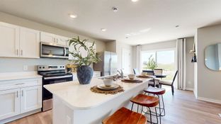 Sydney - Spring Crest Townhomes: Waukee, Iowa - D.R. Horton