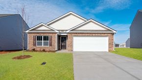 Cedar Gap - Fountain Inn, SC