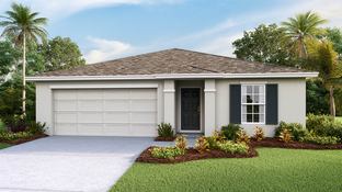 Dakota - McGinley Landing: Ocala, Florida - D.R. Horton