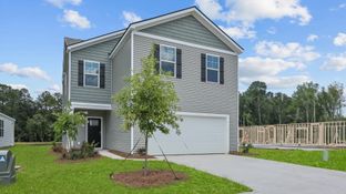 Aisle - Pine Hills at Cane Bay by D.R. Horton: Summerville, South Carolina - D.R. Horton Basic