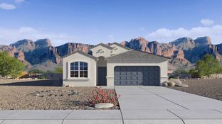 Palo Verde - Trouvaille: Tolleson, Arizona - D.R. Horton