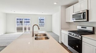 GARFIELD - Oak Ridge Townhomes: Tinley Park, Illinois - D.R. Horton