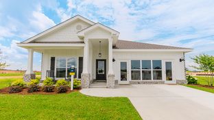 Blackwater Ridge por D.R. Horton en Mobile Alabama