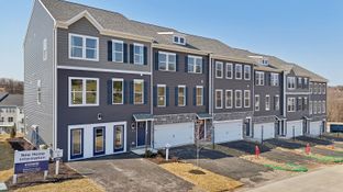 Regent - Finished Basement - Rolling Hills: Moon Township, Pennsylvania - D.R. Horton Basic