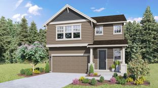 Savannah - Sleater Crossing: Olympia, Washington - D.R. Horton Basic