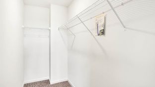 GARFIELD - Cambridge Lakes North Townhomes: Pingree Grove, Illinois - D.R. Horton