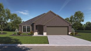 1091 Starling - The Woods at Lindsey Place: Anna, Texas - D.R. Horton