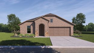 1620 Walton - The Woods at Lindsey Place: Anna, Texas - D.R. Horton