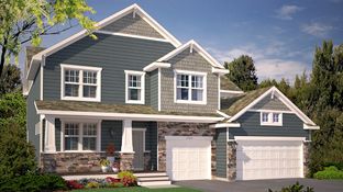 The Whitney - Anton Village: Saint Michael, Minnesota - D.R. Horton