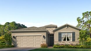 Delray - Ocala Preserve: Ocala, Florida - D.R. Horton