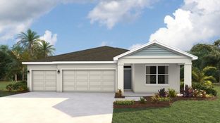 Madison - Rye Crossing: Parrish, Florida - D.R. Horton
