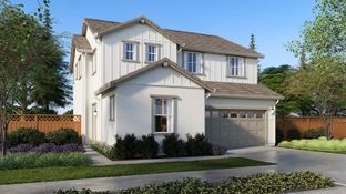 Meadow - Poppy Lane: San Leandro, California - D.R. Horton