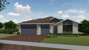 Camden - Estrella Square: Homestead, Florida - D.R. Horton Basic