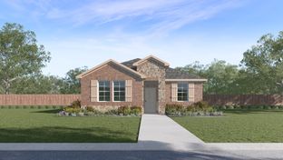 H175 Charlotte - Lilybrooke at Legacy Hills: Celina, Texas - D.R. Horton