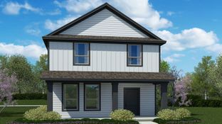 HAZELNUT - Orchard Village: Fort Worth, Texas - D.R. Horton