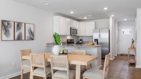 Marion Village - Santee, SC