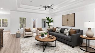 The Mila - Palm Pointe: Ocean Springs, Mississippi - D.R. Horton