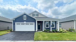 DOVER - Cambridge Lakes North Ranch Single Family: Pingree Grove, Illinois - D.R. Horton