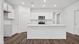 DOVER - Cambridge Lakes North Ranch Single Family: Pingree Grove, Illinois - D.R. Horton