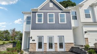 Andrews II - Finished basement - River Ridge: Moon Township, Pennsylvania - D.R. Horton Basic