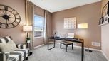 The Grasslands Freedom Ranch Duplexes - Bartlett, IL