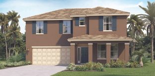 McGRAW - Timberwalk: Mount Dora, Florida - D.R. Horton Basic