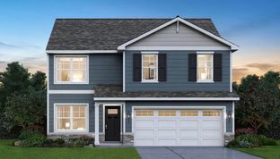 BELLAMY - Prairie Ridge Traditional Single Family: Hampshire, Illinois - D.R. Horton
