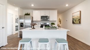 The Estero - Applewood: San Antonio, Texas - D.R. Horton