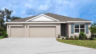 Denham - Rye Crossing: Parrish, Florida - D.R. Horton