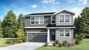 Marigold - Rosewood Court: Kirkland, Washington - D.R. Horton Basic