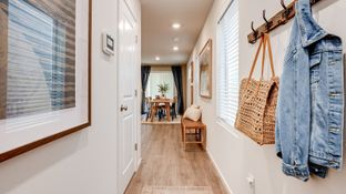 Juniper - Fisher's Creek Terrace: Vancouver, Oregon - D.R. Horton