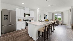 ARIA - Buena Lago: Saint Cloud, Florida - D.R. Horton