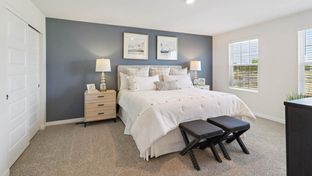 Ashton - Wheatland Crossing: Aurora, Illinois - D.R. Horton Basic