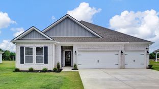 Covington - Villages at Southbranch: Olive Branch, Tennessee - D.R. Horton Basic