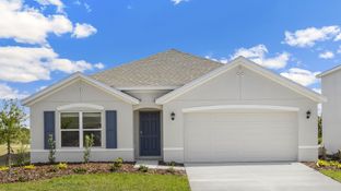Cali - Silverstone North: Palmetto, Florida - D.R. Horton