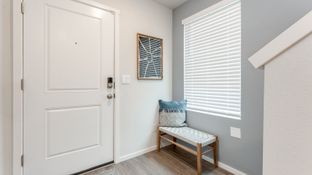 Magnolia - Cascade Terrace: Camas, Oregon - D.R. Horton Basic