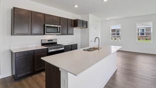 CALLIHAN - Cambridge Lakes North Ranch Townhomes: Pingree Grove, Illinois - D.R. Horton Basic