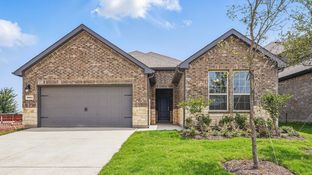Durango - Madera: Royse City, Texas - D.R. Horton Basic