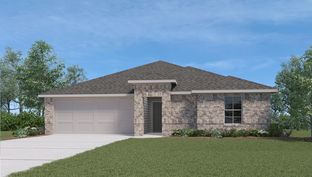 Ashburn - Pecan Creek: Temple, Texas - D.R. Horton Basic