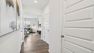 Sloan - Sonoma Trails Single Family Homes: Oswego, Illinois - D.R. Horton