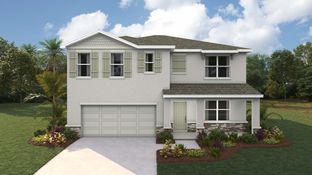 Sandal Key por D.R. Horton en Tampa-St. Petersburg Florida