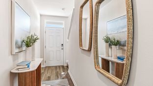 Pearson B - Harbor Landing: Palm Harbor, Florida - D.R. Horton