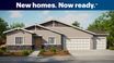 casa en Harlen por D.R. Horton Basic