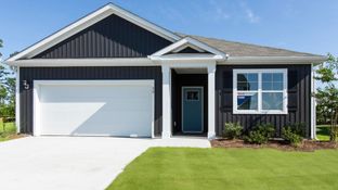 ARIA - Vineyard Trail: Jacksonville, North Carolina - D.R. Horton Basic