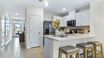 casa en Ruskin Preserve Townhomes por D.R. Horton Basic