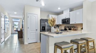 Ruskin Preserve Townhomes por D.R. Horton Basic en Tampa-St. Petersburg Florida