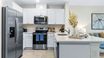 casa en Ruskin Preserve Townhomes por D.R. Horton Basic