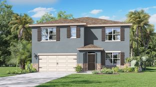 HAYDEN - Summerlin at Hawthorne Ranch: Lakeland, Florida - D.R. Horton Basic