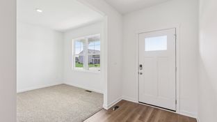 HENLEY - Stonewater Traditional Single Family: Wonder Lake, Illinois - D.R. Horton Basic